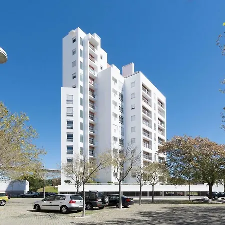 Eco @ Torre Lisbon